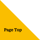 Page Top